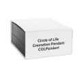 Picture of CREMATION JEWELRY Stainless Steel Circle of Life Pendant
