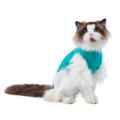 Picture of MEDICAL PET SHIRT CLASSIC  2XS FELINE