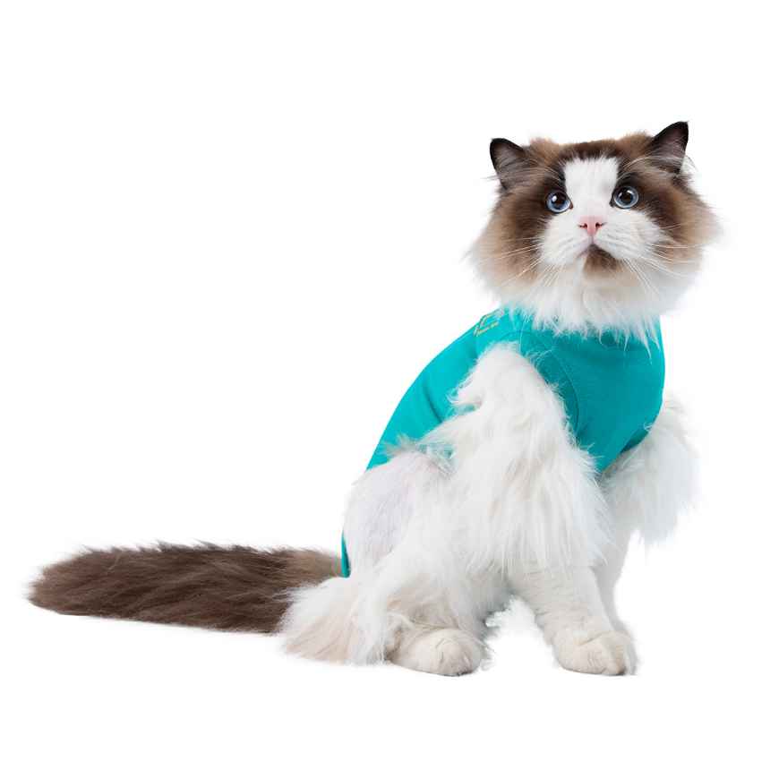 Picture of MEDICAL PET SHIRT CLASSIC  4XS FELINE