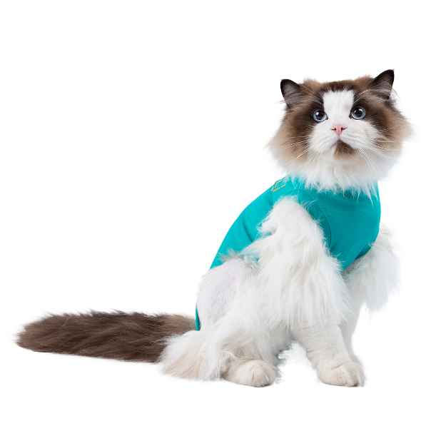 Picture of MEDICAL PET SHIRT CLASSIC S FELINE