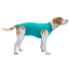 Picture of PROTECTIVE PET SHIRT CLASSIC  M+