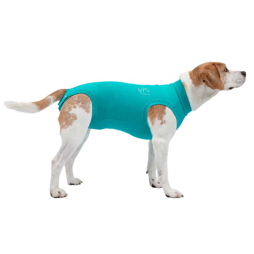 Picture of MEDICAL PET SHIRT CLASSIC  S+
