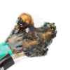 Picture of TREAT DOG PARKERS KANGAROO FEMUR BONES - 10in
