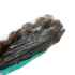 Picture of TREAT DOG PARKERS KANGAROO LUMBAR - 8in