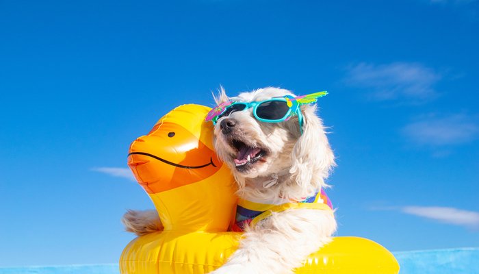 Picture for category Summer Fun 