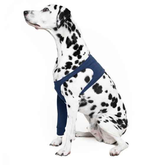 Picture of MPS Protective Front Leg Single Sleeve Dog 2XL