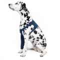 Picture of MPS Protective Front Leg Single Sleeve Dog 2XS