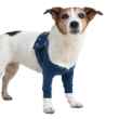 Picture of MPS Protective Front Leg Double Sleeve L
