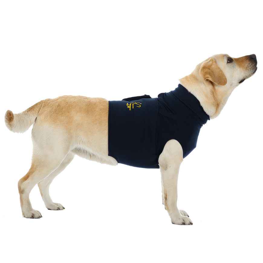 Picture of MPS Protective Top Shirt Dog XS