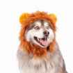 Picture of HALLOWEEN CANINE COSTUME Lion - Large/X Large 