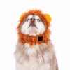 Picture of HALLOWEEN CANINE COSTUME Lion - Large/X Large 