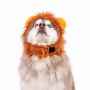 Picture of HALLOWEEN CANINE COSTUME Lion - Large/X Large 