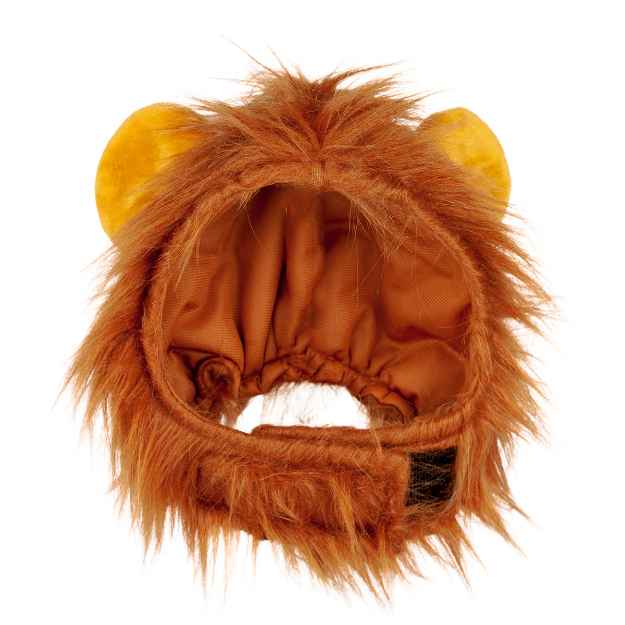 Picture of HALLOWEEN CANINE COSTUME Lion - Small/Medium 