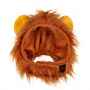 Picture of HALLOWEEN CANINE COSTUME Lion - Small/Medium 