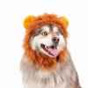 Picture of HALLOWEEN CANINE COSTUME Lion - Small/Medium 