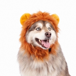 Picture of HALLOWEEN CANINE COSTUME Lion - Small/Medium 
