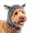 Picture of HALLOWEEN CANINE COSTUME Wolf - Small/Medium 