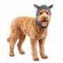 Picture of HALLOWEEN CANINE COSTUME Wolf - Small/Medium 
