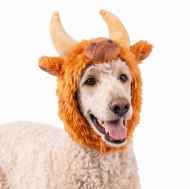 Picture of HALLOWEEN CANINE COSTUME Highland Cow - Small/Medium 