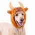 Picture of HALLOWEEN CANINE COSTUME Highland Cow - Small/Medium 