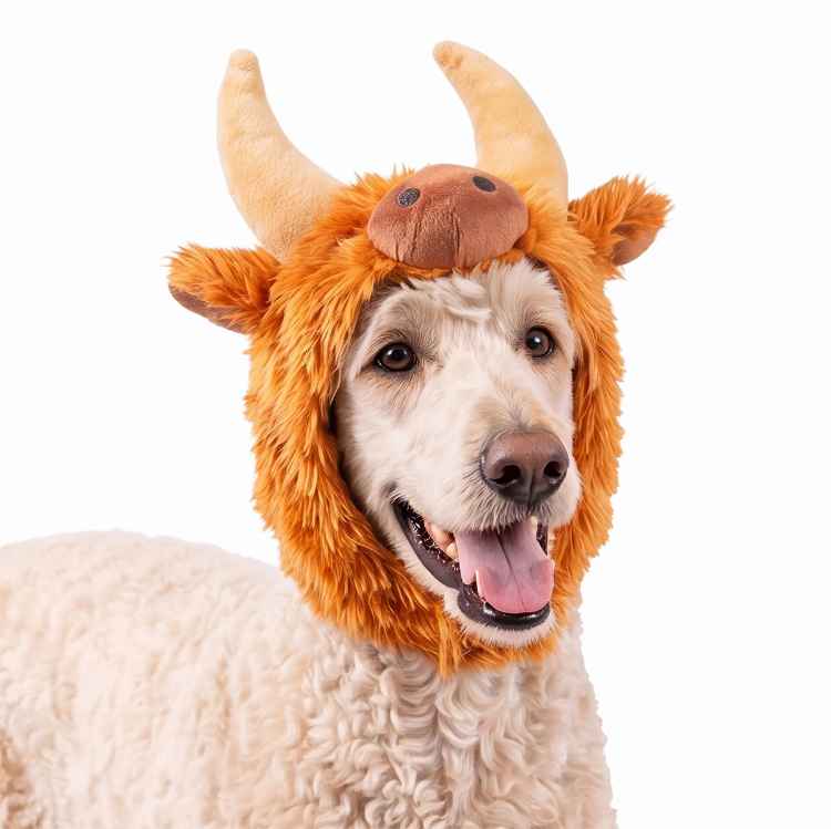 Picture of HALLOWEEN CANINE COSTUME Highland Cow - Small/Medium 