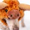 Picture of HALLOWEEN CANINE COSTUME Highland Cow - Small/Medium 
