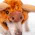 Picture of HALLOWEEN CANINE COSTUME Highland Cow - Small/Medium 