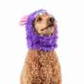 Picture of HALLOWEEN CANINE COSTUME Monkey Monster- Large/X Large 