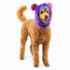 Picture of HALLOWEEN CANINE COSTUME Monkey Monster- Large/X Large 