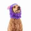 Picture of HALLOWEEN CANINE COSTUME Monkey Monster - Small/Medium 