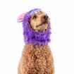 Picture of HALLOWEEN CANINE COSTUME Monkey Monster - Small/Medium 