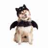 Picture of HALLOWEEN CANINE COSTUME Bat - Medium/Large 