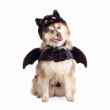 Picture of HALLOWEEN CANINE COSTUME Bat - Medium/Large 