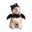 Picture of HALLOWEEN CANINE COSTUME Bat - X Small/Small 