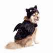 Picture of HALLOWEEN CANINE COSTUME Bat - X Small/Small 