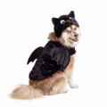 Picture of HALLOWEEN CANINE COSTUME Bat- X Large/2X Large 