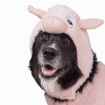 Picture of HALLOWEEN CANINE COSTUME Pig - X Small/Small 