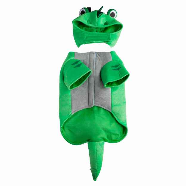 Picture of HALLOWEEN CANINE COSTUME Lizard - X Small/Small 