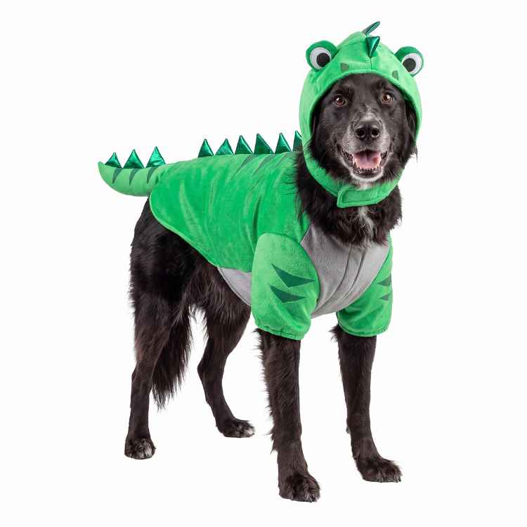 Picture of HALLOWEEN CANINE COSTUME Lizard- X Large/2X Large 