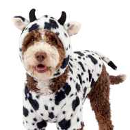 Picture of HALLOWEEN CANINE COSTUME Cow- Large/X Large 