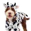 Picture of HALLOWEEN CANINE COSTUME Cow - X Small/Small 