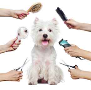Picture for category Grooming