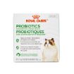 Picture of FELINE RC PROBIOTIC DIGESTIVE & IMMUNE HEALTH - 30 x 1gm (su24)