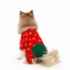 Picture of XMAS CANINE PYJAMA PULL ON EASY FIT PATTERNED RED – Small