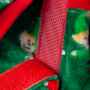 Picture of XMAS CANINE PYJAMA PULL ON EASY FIT PATTERNED GREEN – X Small