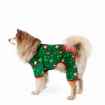 Picture of XMAS CANINE PYJAMA PULL ON EASY FIT PATTERNED GREEN – Medium