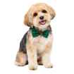 Picture of XMAS CANINE BOWTIE PATTERNED GREEN – One Size
