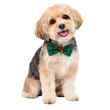 Picture of XMAS CANINE BOWTIE PATTERNED GREEN – One Size