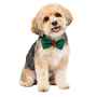 Picture of XMAS CANINE BOWTIE PATTERNED GREEN – One Size