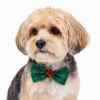 Picture of XMAS CANINE BOWTIE PATTERNED GREEN – One Size